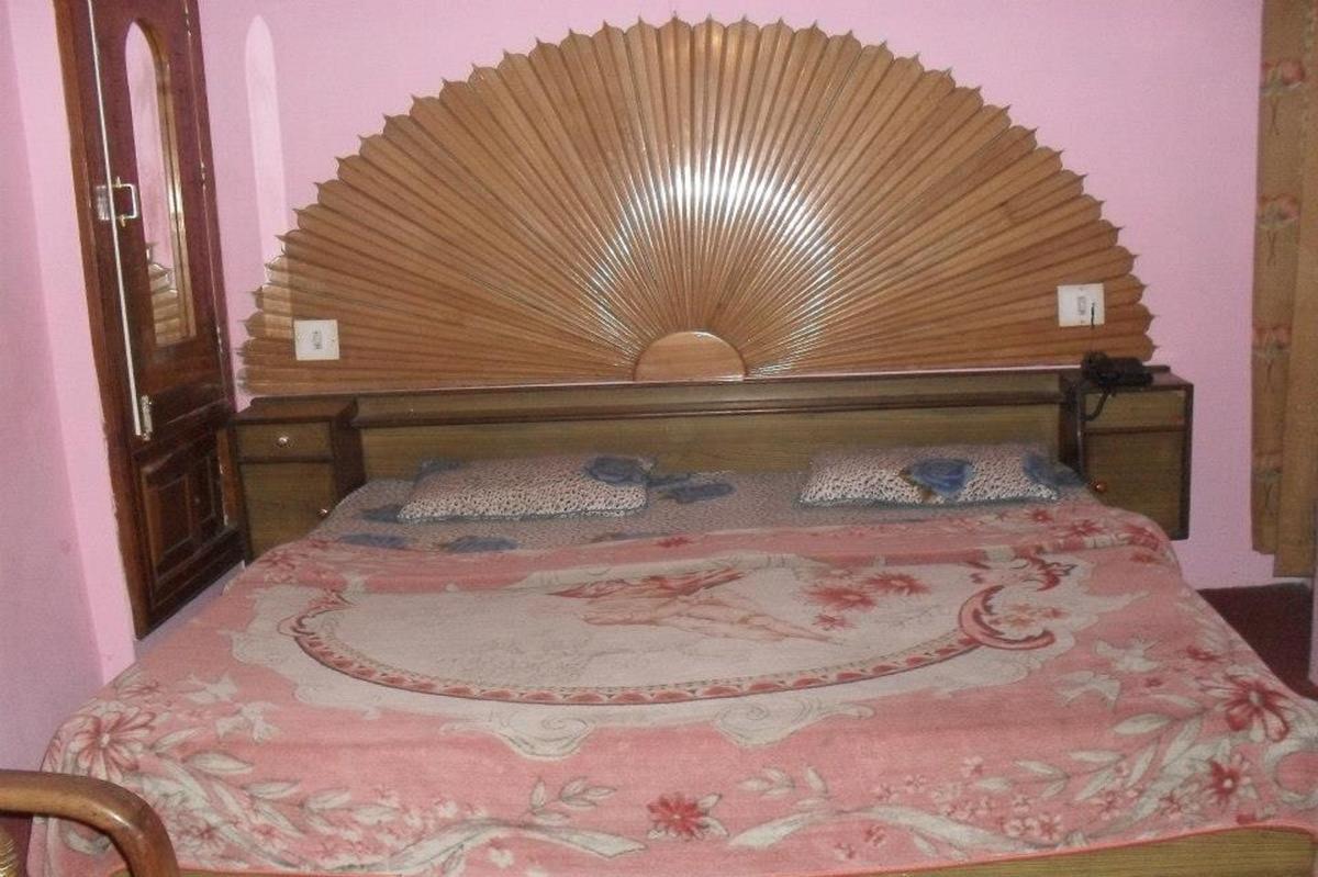 Raj Palace Hotel - Manali (Himachal Pradesh) — Photos 1